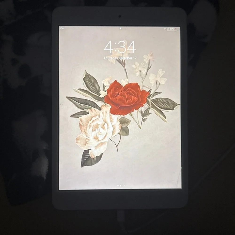 Apple ipad mini 3